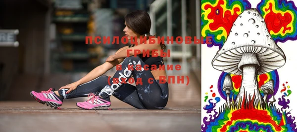 apvp Богданович