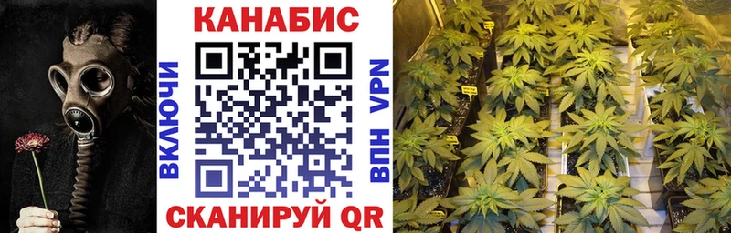 Купить  Нея  Конопля VHQ 